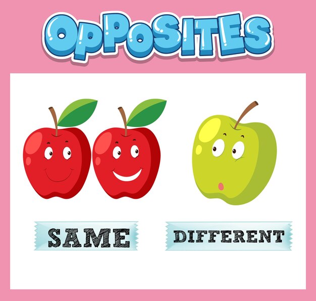 Palabras opuestas en inglés para niños