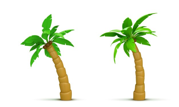 Palmera con coco Vector 3D realista
