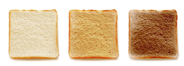 Pan tostado para sándwich 3D vector aislado