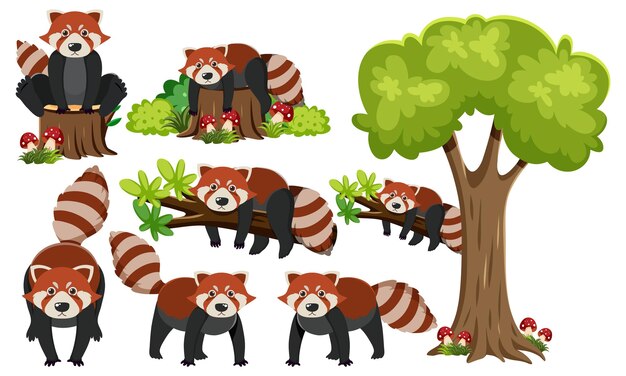 Panda rojo en la rama con elementos de árbol
