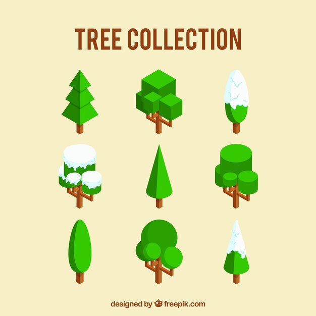 Paquete de árboles geométricos
