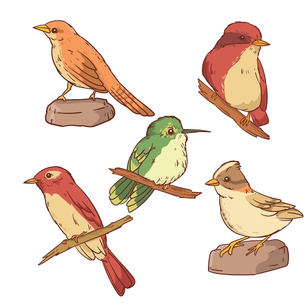 Paquete de aves dibujadas a mano