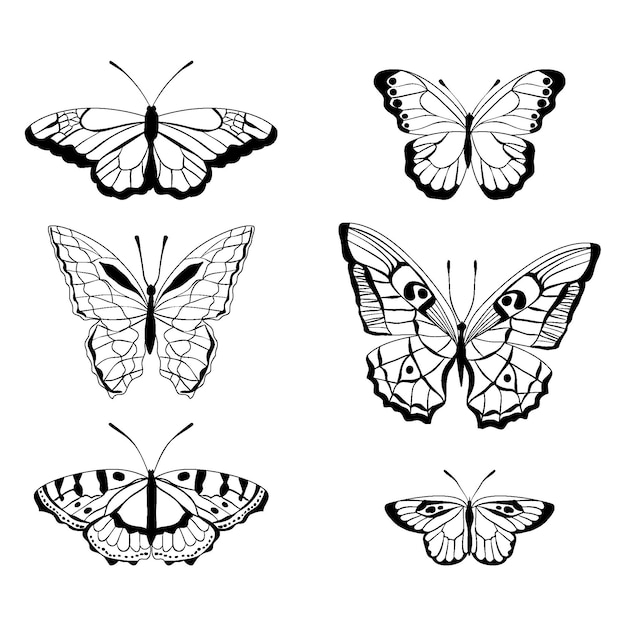 Vector gratuito paquete de contorno de mariposa dibujada a mano