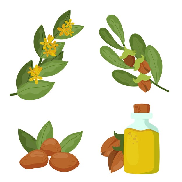Paquete detallado de elementos de jojoba