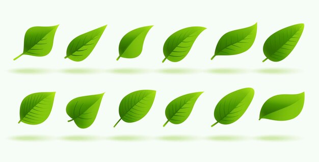 paquete de diseño de follaje natural decorativo y lindo