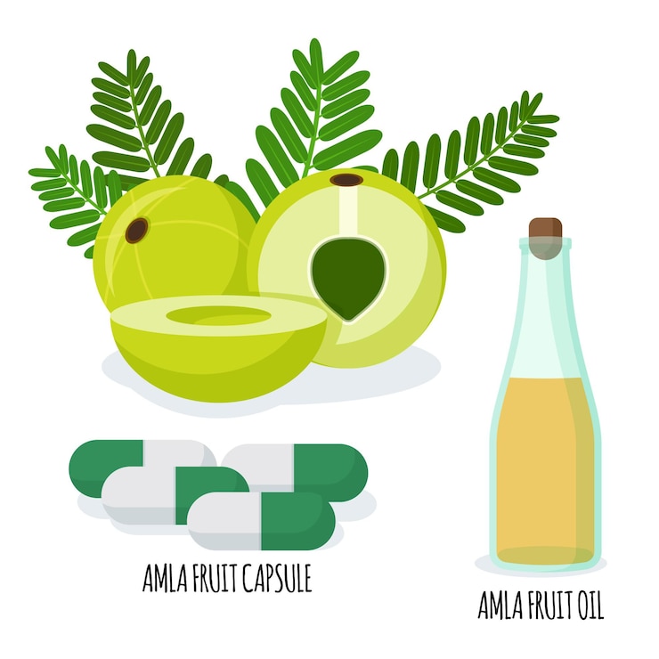 Vector gratuito paquete de elementos de fruta amla dibujados a mano