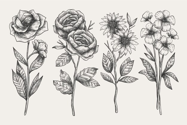 Paquete de flores de botánica vintage dibujado a mano realista