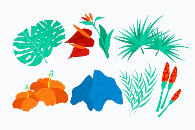 Vector gratuito paquete de flores y hojas tropicales