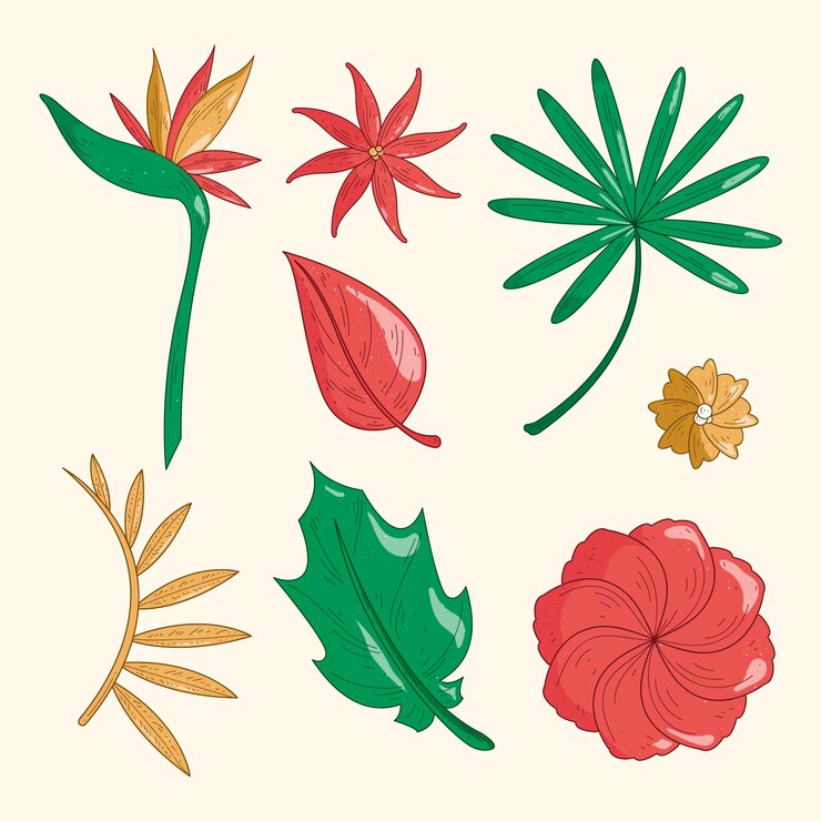 Vector gratuito paquete de flores y hojas tropicales