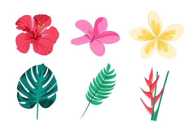 Paquete de flores y hojas tropicales