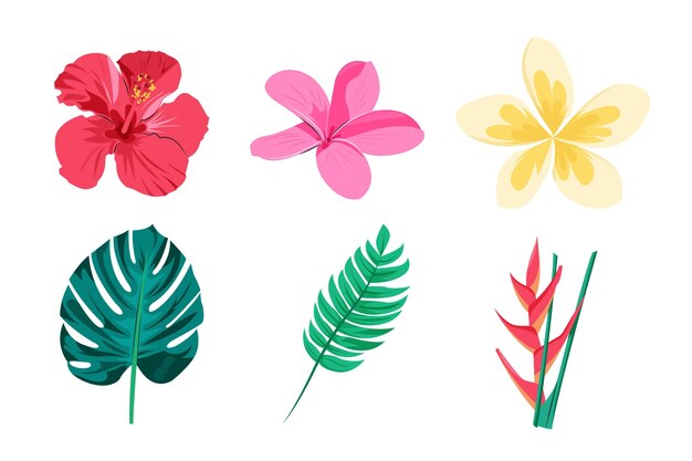 Paquete de flores y hojas tropicales