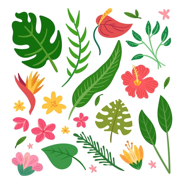 Vector gratuito paquete de flores y hojas tropicales