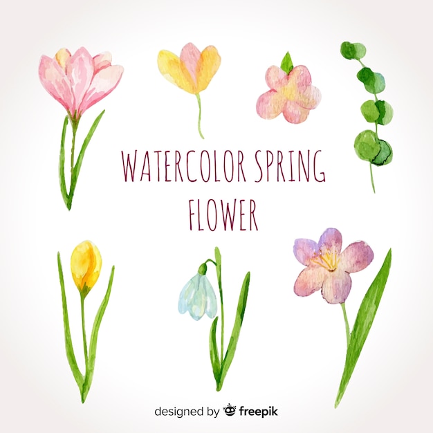 Paquete de flores de primavera en acuarela