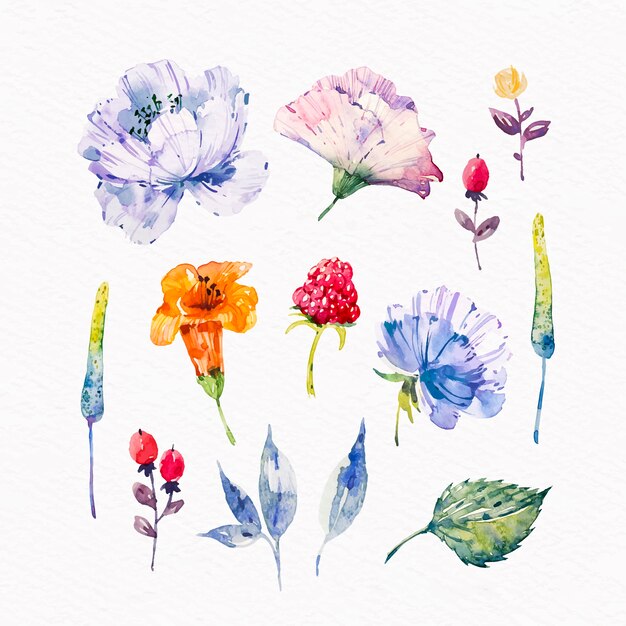 Paquete de flores de primavera acuarela
