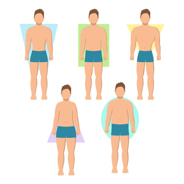 Paquete de formas de cuerpo masculino