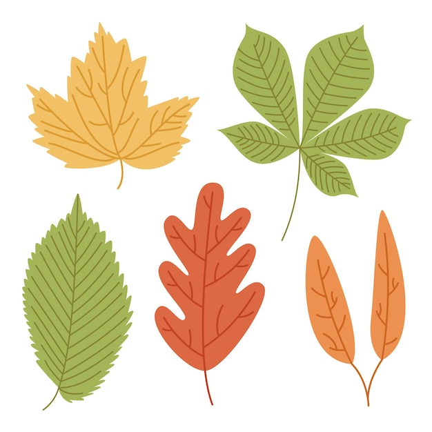 Paquete de hojas de colores dibujados a mano