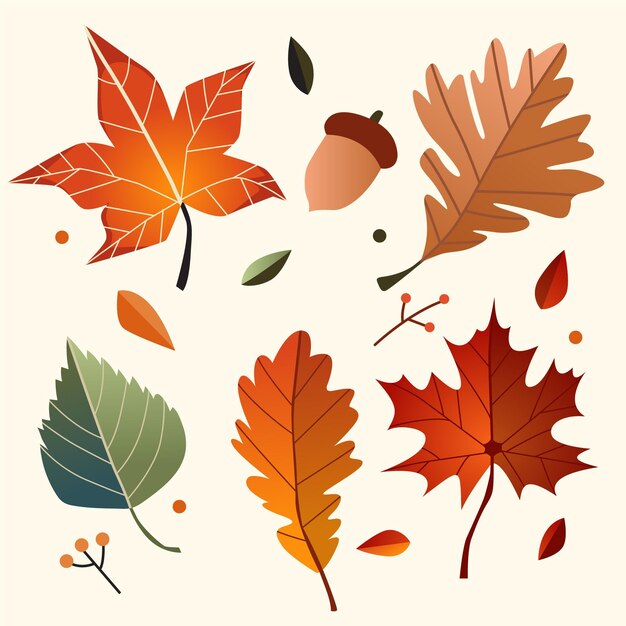 Paquete de hojas de otoño dibujado a mano