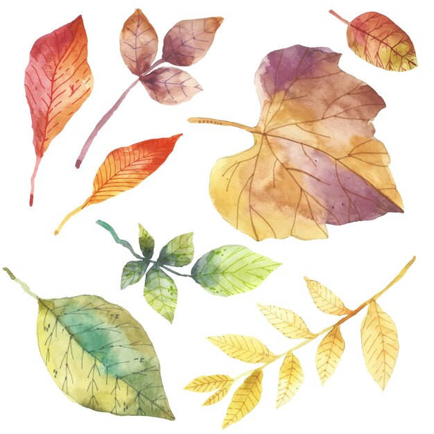 Paquete de hojas de otoño de diseño de acuarela
