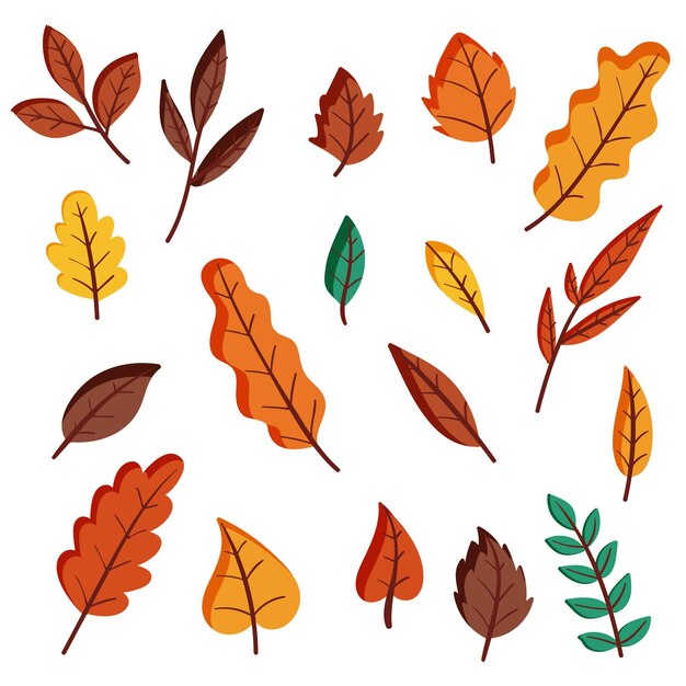 Paquete de hojas de otoño