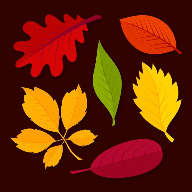 Paquete de hojas de otoño