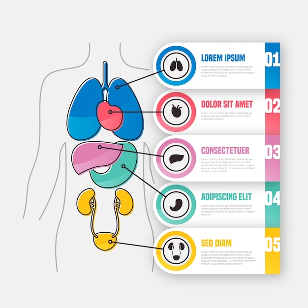 Vector gratuito paquete de infografía médica