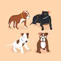 Vector gratuito paquete pitbull de diseño plano