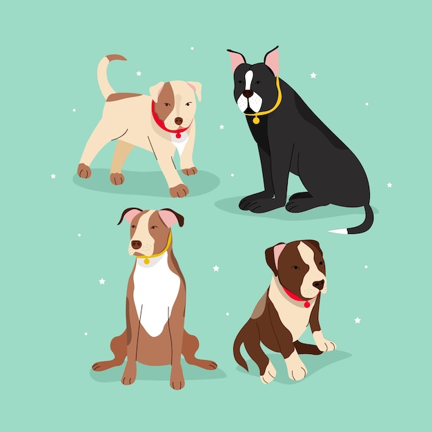 Paquete pitbull de diseño plano