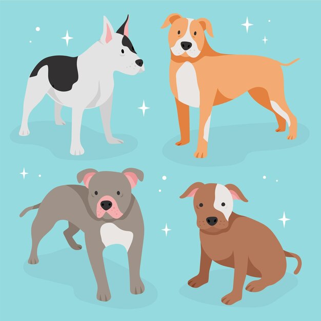Paquete pitbull de diseño plano