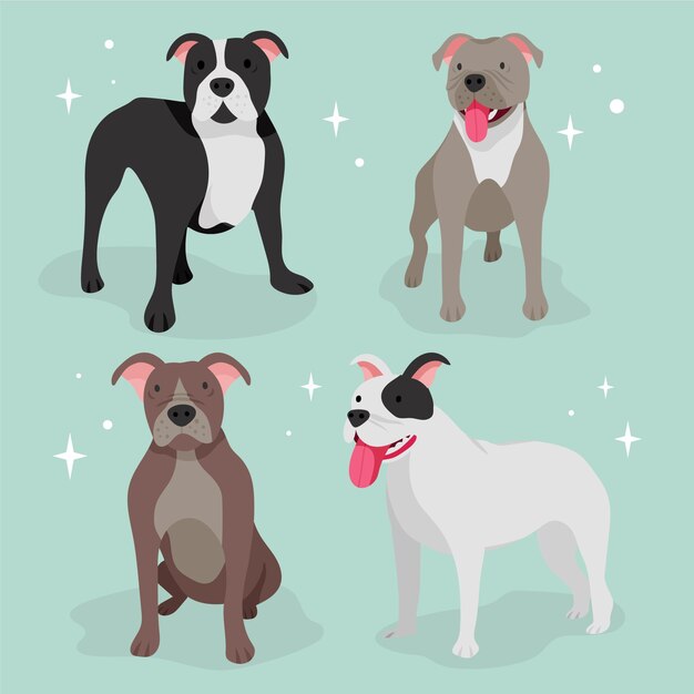 Paquete pitbull de diseño plano