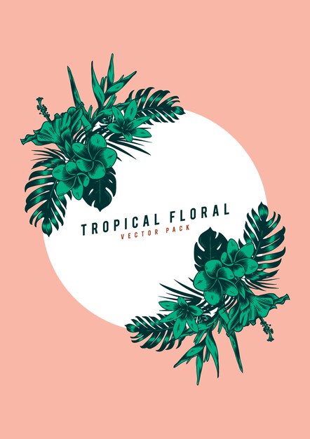 paquete tropical