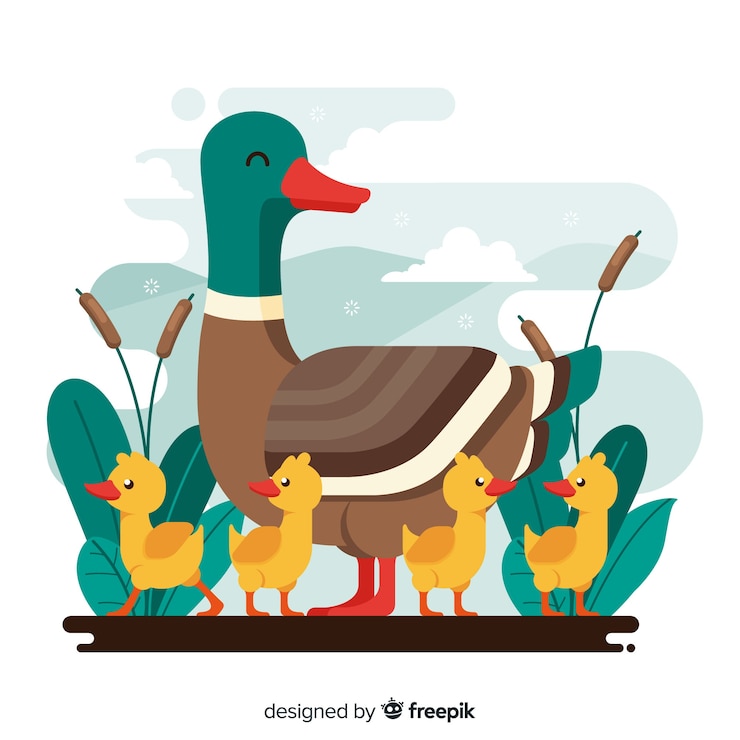 Vector gratuito pato madre plano y sus patitos afuera