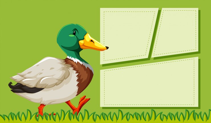Vector gratuito un pato en marcos de nota en blanco
