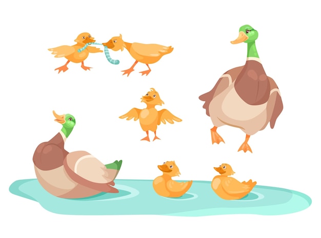 Pato con patitos lindos en conjunto de ilustración de dibujos animados de estanque. pequeños patos amarillos peleando por gusanos, siguiendo a la madre, nadando en lago o río. animal de granja, concepto de vida silvestre