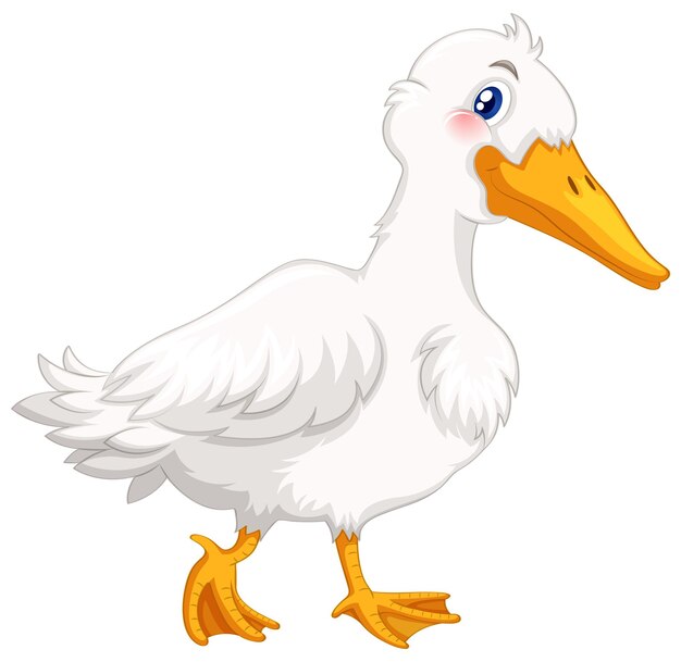 Pato con pluma blanca