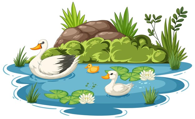 Los patos disfrutan de un estanque tranquilo