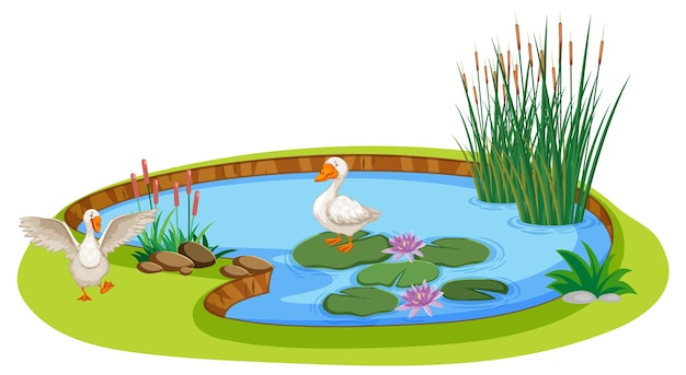 Patos en un estanque al estilo de las caricaturas