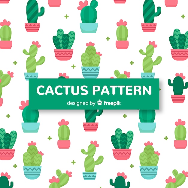 Patrón cactus dibujado a mano
