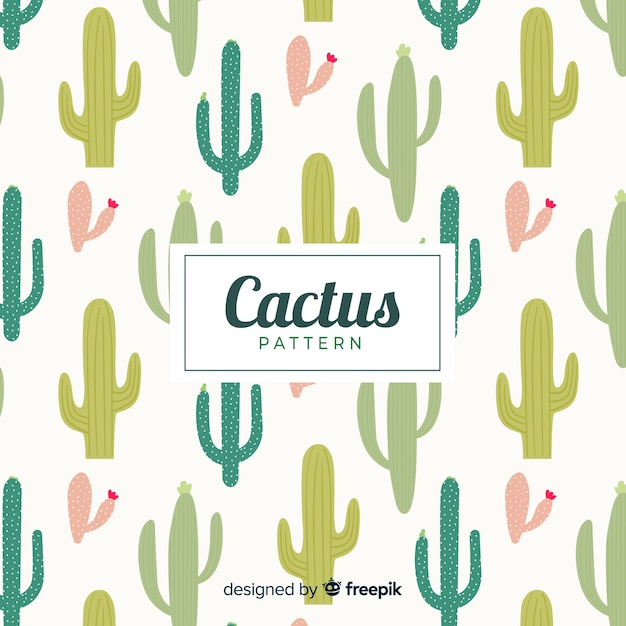 Patrón de cactus dibujado a mano