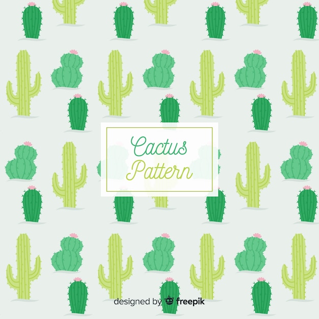 Patrón de cactus dibujados a mano
