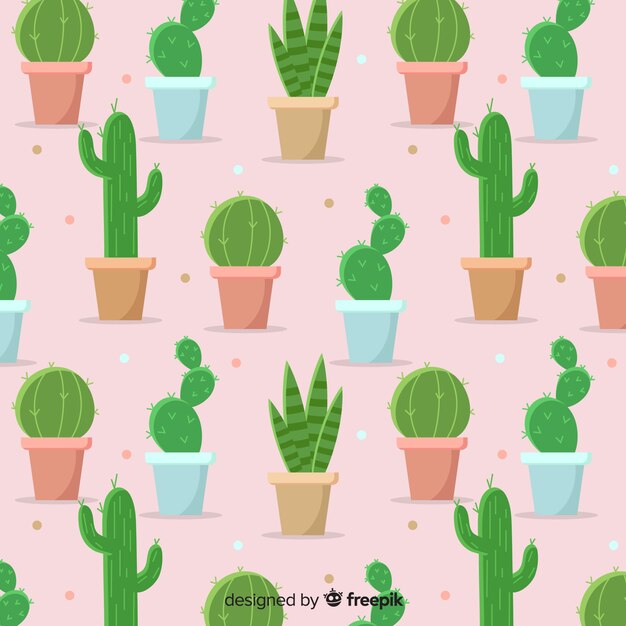 Patrón de cactus plano