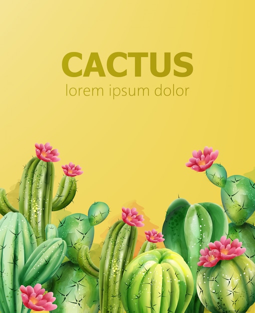 Patrón de cactus sobre fondo amarillo con lugar para el texto. Cactus con flor