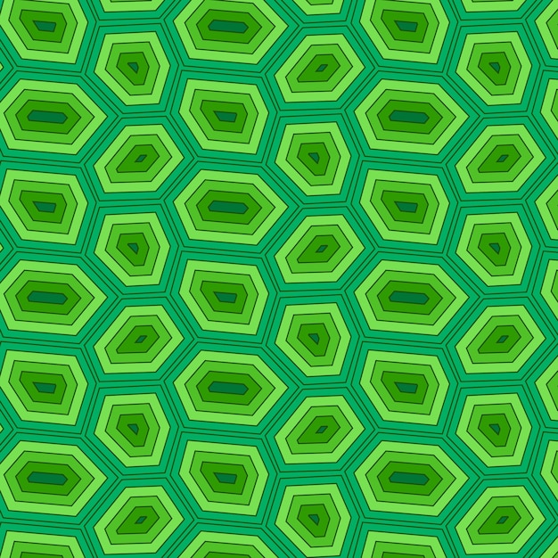 Patrón de caparazón de tortuga de diseño plano