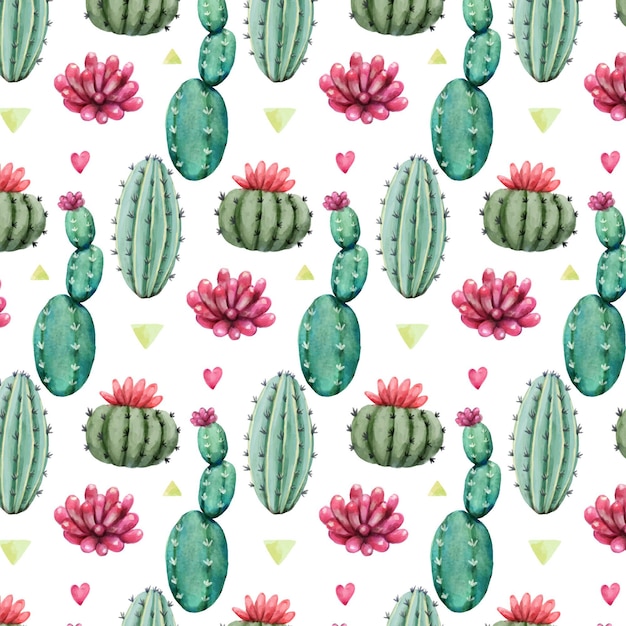 Patrón de colores con plantas de cactus