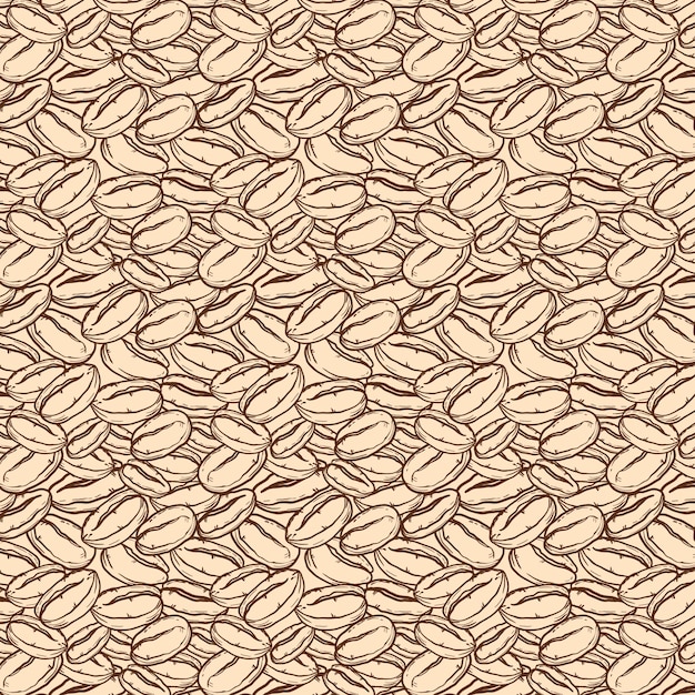 Patrón de dibujo de grano de café dibujado a mano