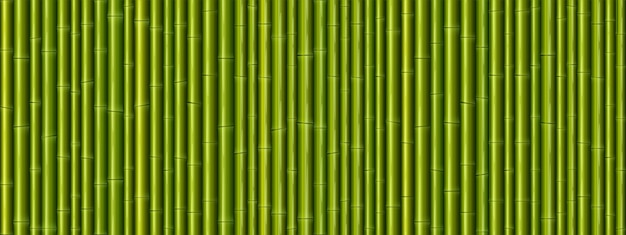 Patrón sin fisuras de textura de pared de bambú