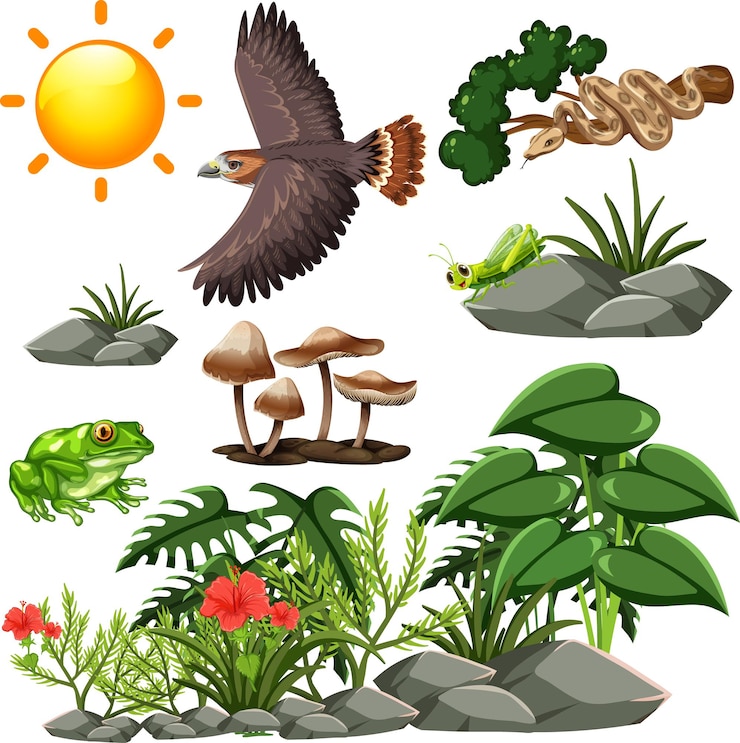 Vector gratuito patrón sin fisuras de la vida silvestre de dibujos animados con diferentes animales y plantas silvestres