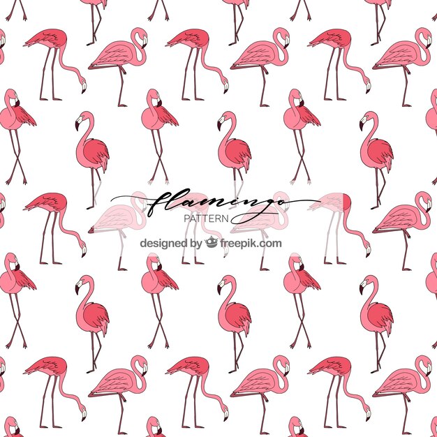 Patrón de flamencos en estilo hecho a mano