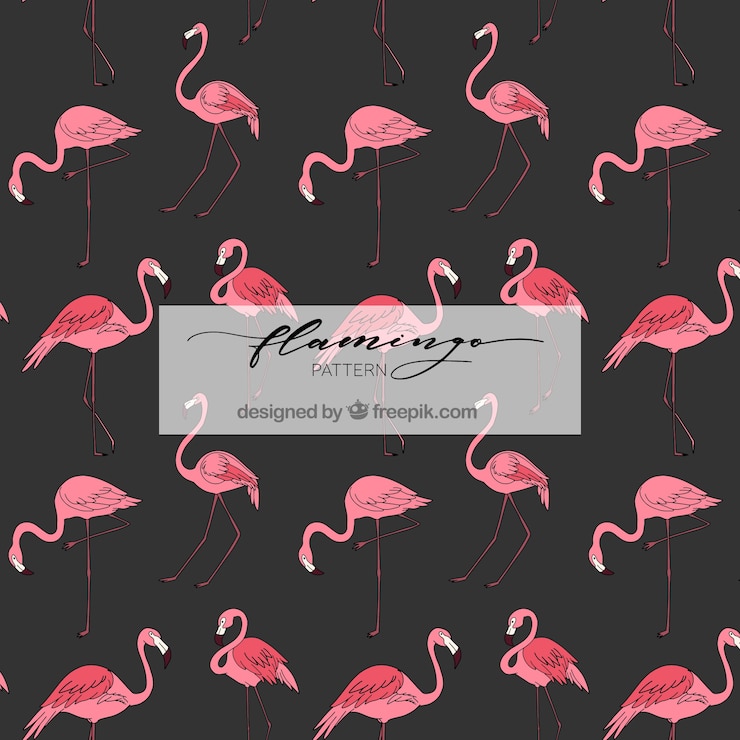 Vector gratuito patrón de flamencos en estilo hecho a mano