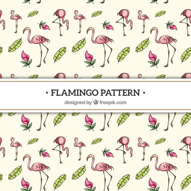 Patrón de flamencos con plantas en estilo hecho a mano
