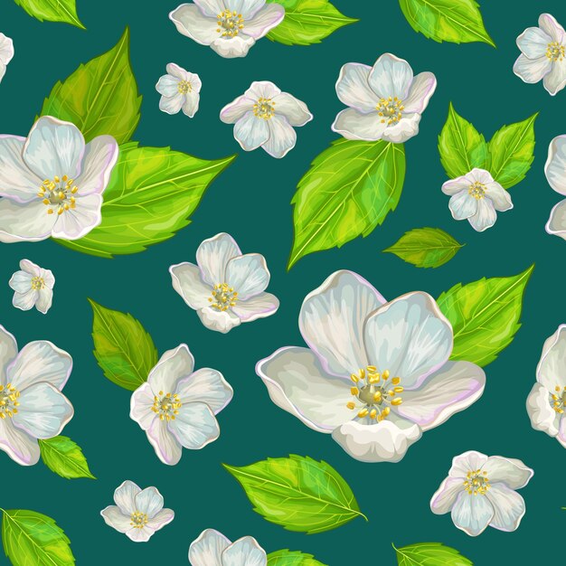 Patrón flor jazmín